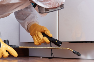 Messie Schädlingsbekämpfung Bergkamen